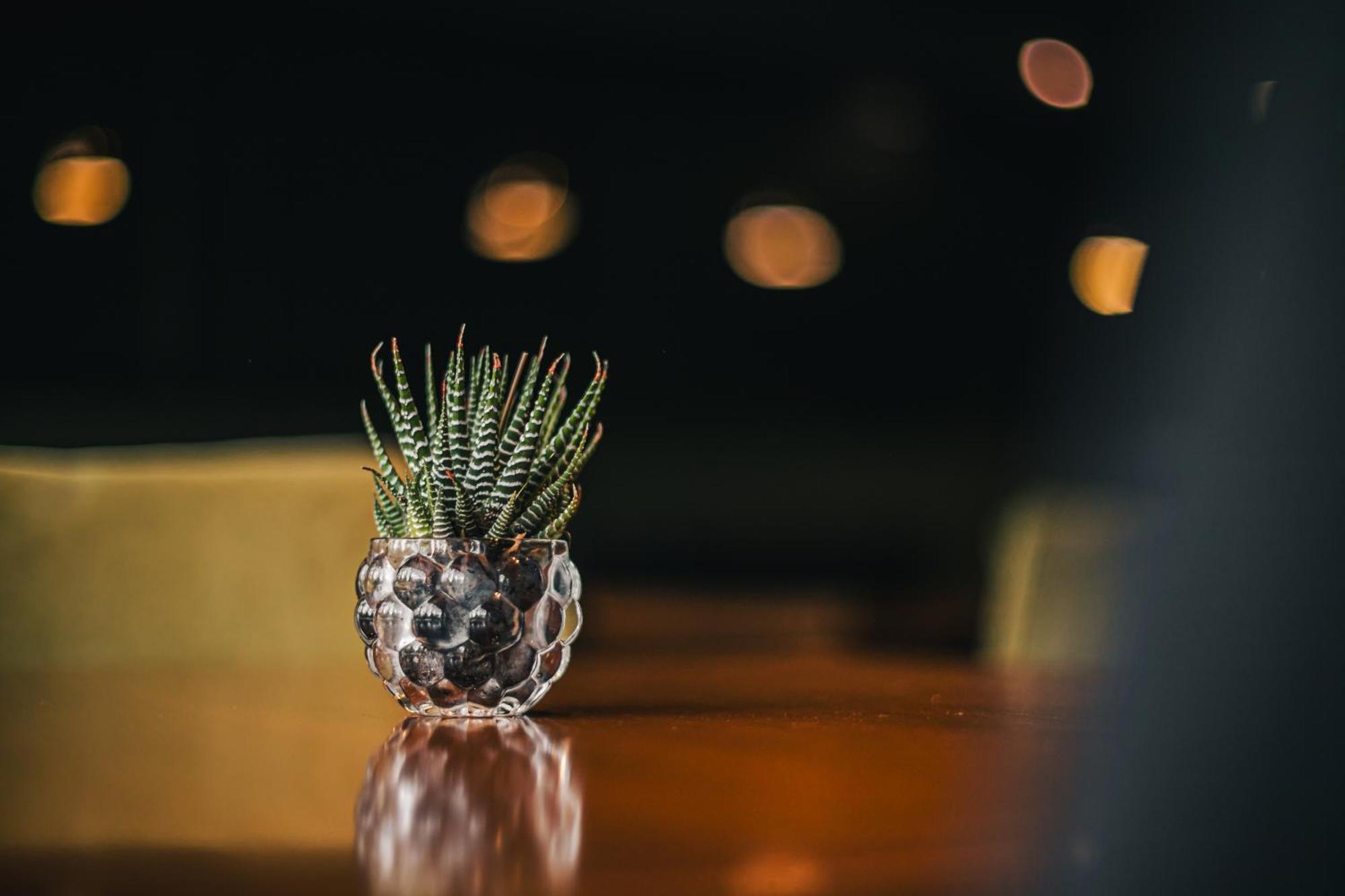 Portal Plaza Suites Mendoza Kültér fotó
